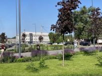 открыть фотогалерею